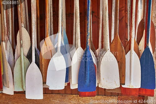 Image of Paddles In Storage