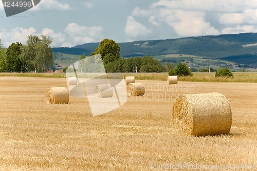 Image of Agricultural field with bales