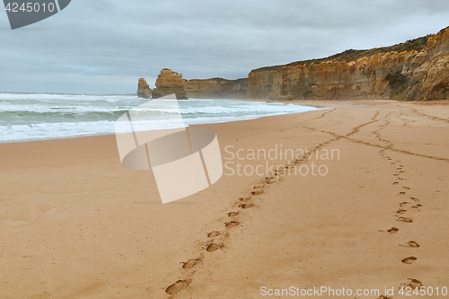 Image of Sandy Ocean Beach