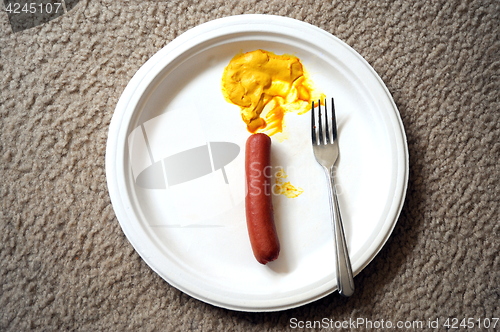 Image of Hot dog and mustard.