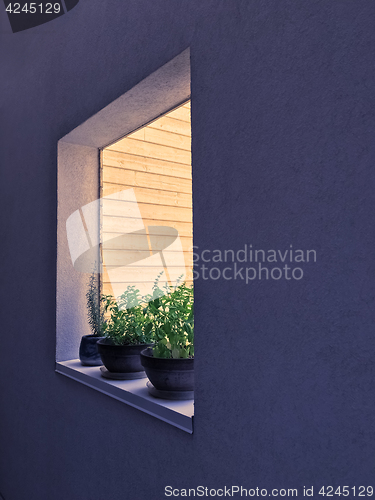 Image of Window decorated with potted herbs