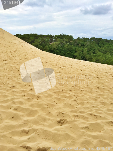 Image of Sandy slope of the Dune of Pilat in France