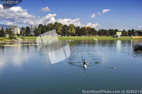 Image of Young woman rowing in boat on the lake.