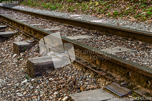 Image of The old railway track