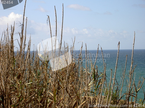 Image of seasight
