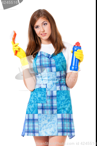 Image of Housewife with cleaning supplies