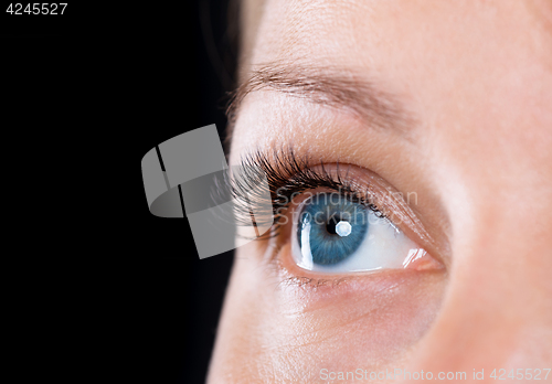 Image of Face woman with eyes and eyelashes