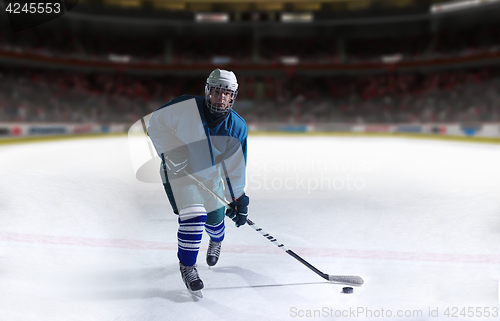 Image of ice hockey player in action