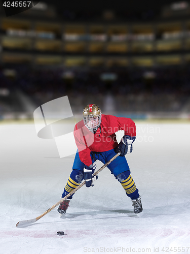 Image of ice hockey player in action