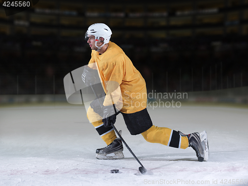 Image of ice hockey player in action