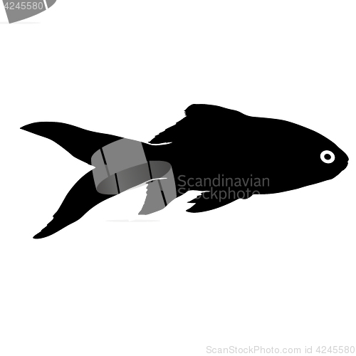 Image of Black silhouette of aquarium fish on white background