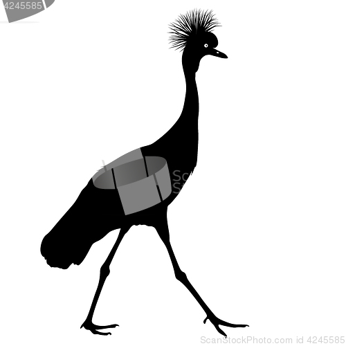 Image of Silhouette bird crane on a white background