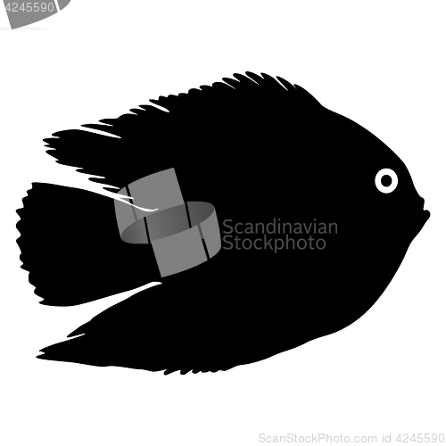 Image of Black silhouette of aquarium fish on white background