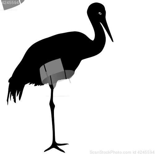 Image of Silhouette bird crane on a white background