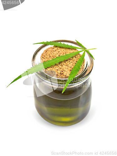 Image of Oil hemp in glass jar with leaf on lid