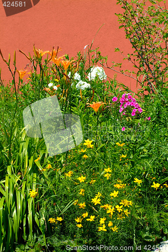 Image of springflowers
