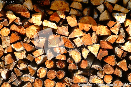 Image of wooden log