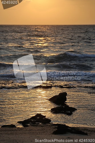 Image of Mediterranean Coast Israel