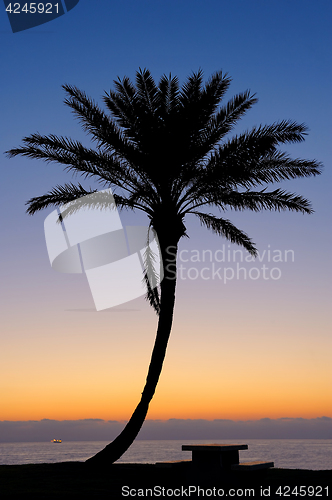 Image of Park of Ashkelon in Israel