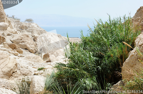 Image of Dead Sea Mountains