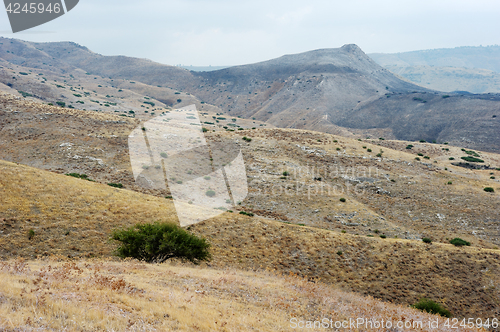 Image of Slopes of the Golan Heights