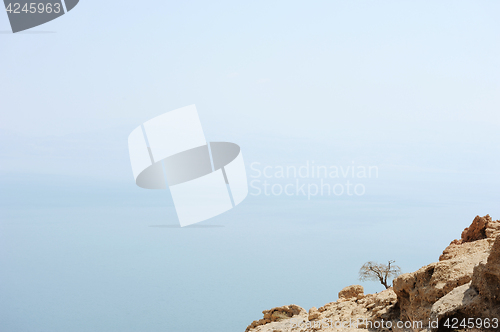 Image of The coast of the Dead Sea 