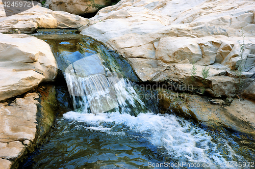 Image of Stream in Ein Gedi