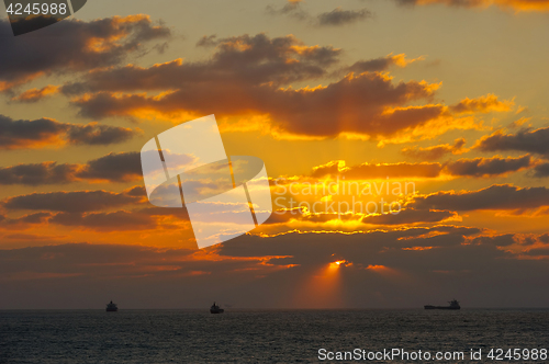 Image of Mediterranean Coast Israel