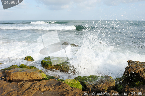 Image of Mediterranean Coast Israel