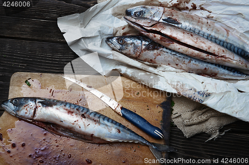 Image of Raw fish on a table