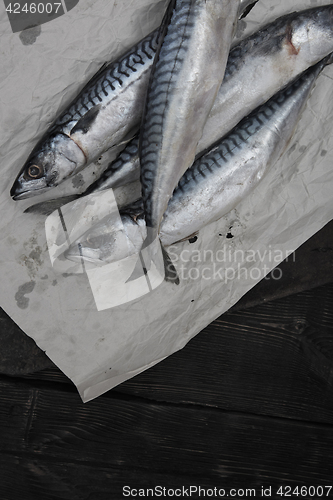 Image of Scomber fish in wrapping paper