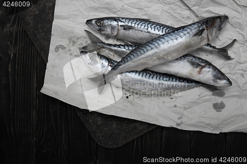 Image of Scomber fish in wrapping paper