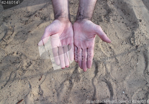 Image of  worker hands palms