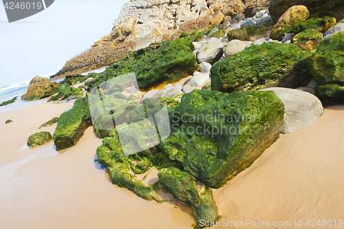 Image of Green stones on the seashore