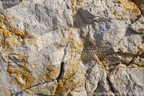 Image of colorful texture of sea stone