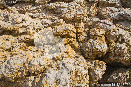 Image of colorful texture of sea stone