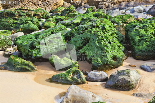 Image of Green stones on the seashore