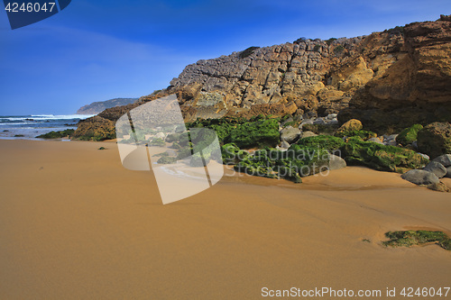 Image of Green stones on the seashore