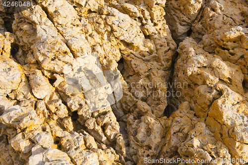 Image of colorful texture of sea stone