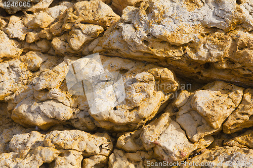 Image of colorful texture of sea stone