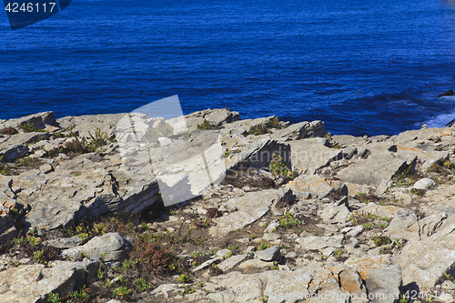 Image of Rocky Coast Extending into the Sea