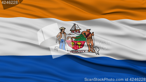 Image of Closeup Albany Flag