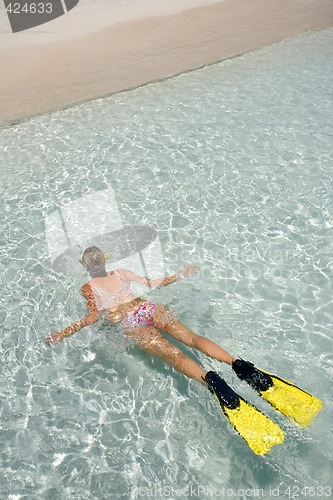 Image of Woman snorkelling in tropical water