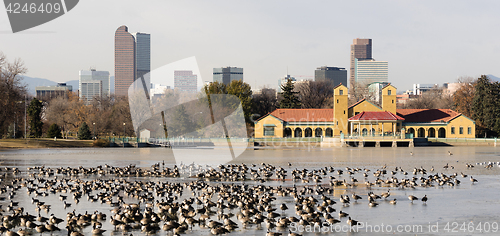 Image of Cirt Park Lake Ferril Frozen Water Migrating Geese