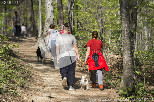 Image of Group of hikers in a walk in nature