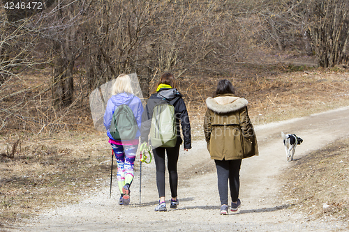 Image of Group of young girls hikers in a walk in nature