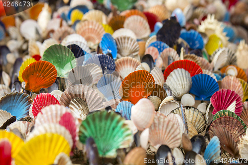 Image of Many of Colorful seashell as background, selective focus
