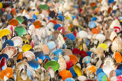 Image of Many of Colorful seashell as background, selective focus
