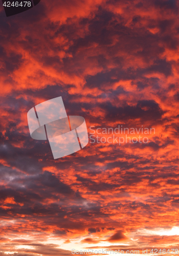 Image of Sky with red and gray clouds