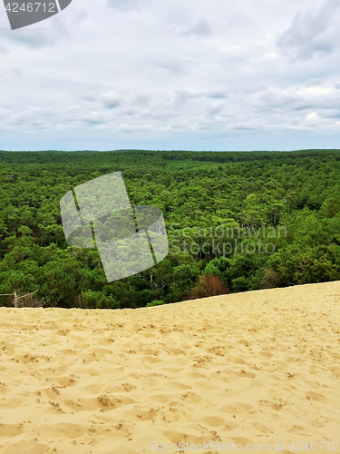 Image of Sky, trees and sand